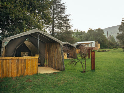 Bushbuck Safari Tent @ Mount Park Guest Farm