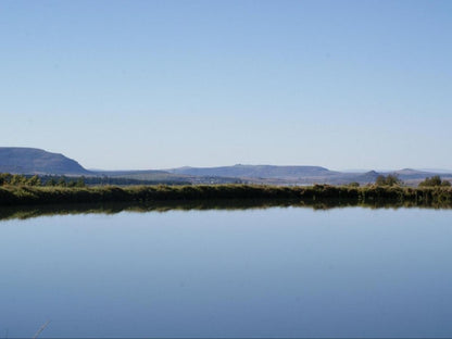 Mount Sinai Resort, River, Nature, Waters