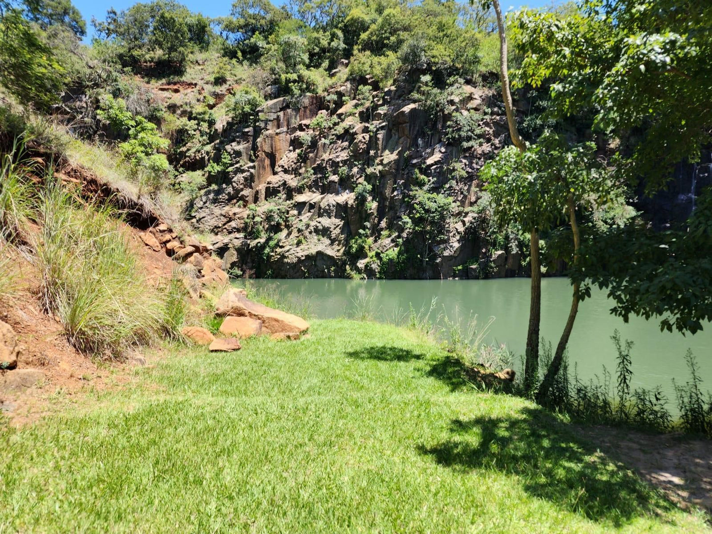 Mount Sinai Resort, Reptile, Animal, River, Nature, Waters, Garden, Plant