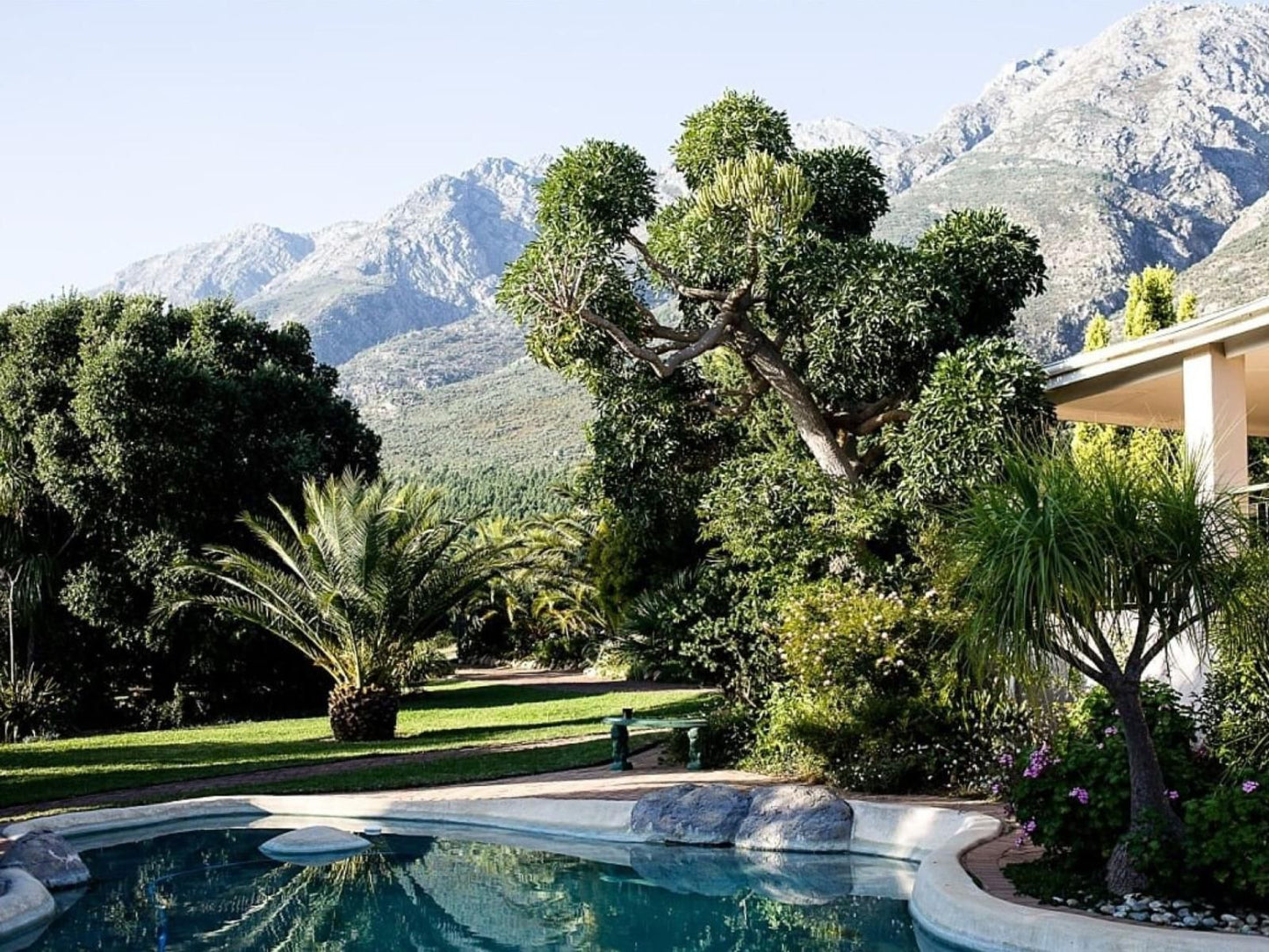 Mountain Haven Villa Wolseley Western Cape South Africa Palm Tree, Plant, Nature, Wood, Garden, Swimming Pool