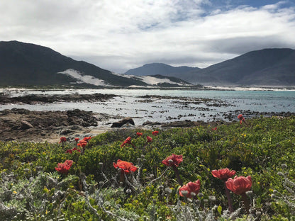 Silver Sands Beach