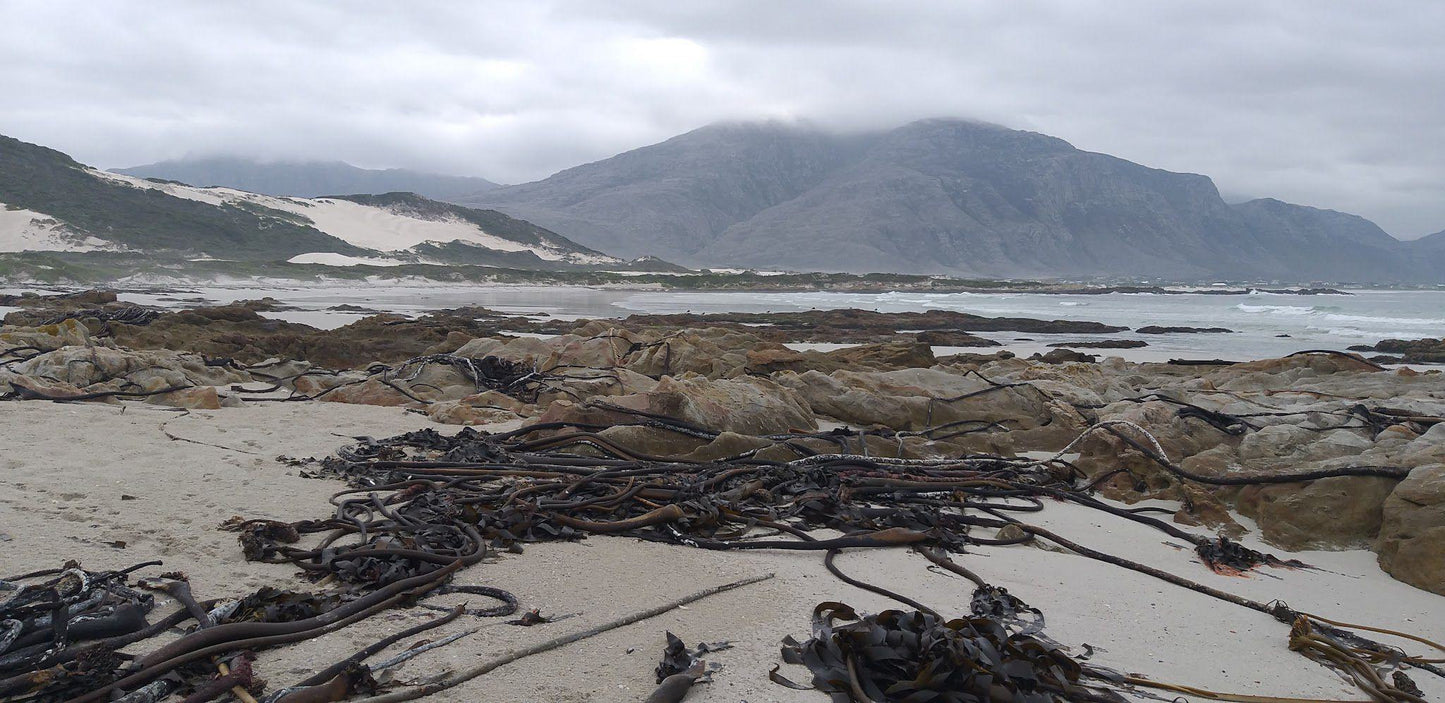 Silver Sands Beach