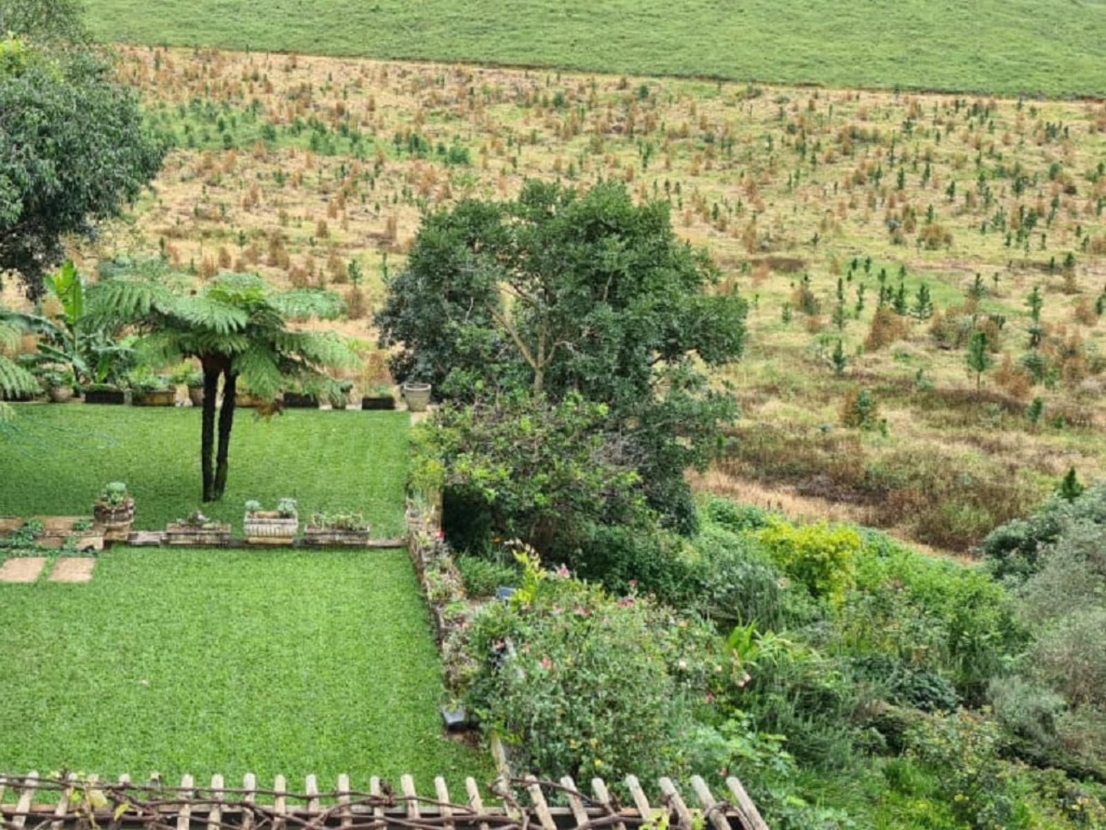 Mountain Rose Guesthouse Makhado Louis Trichardt Limpopo Province South Africa Field, Nature, Agriculture, Plant, Garden