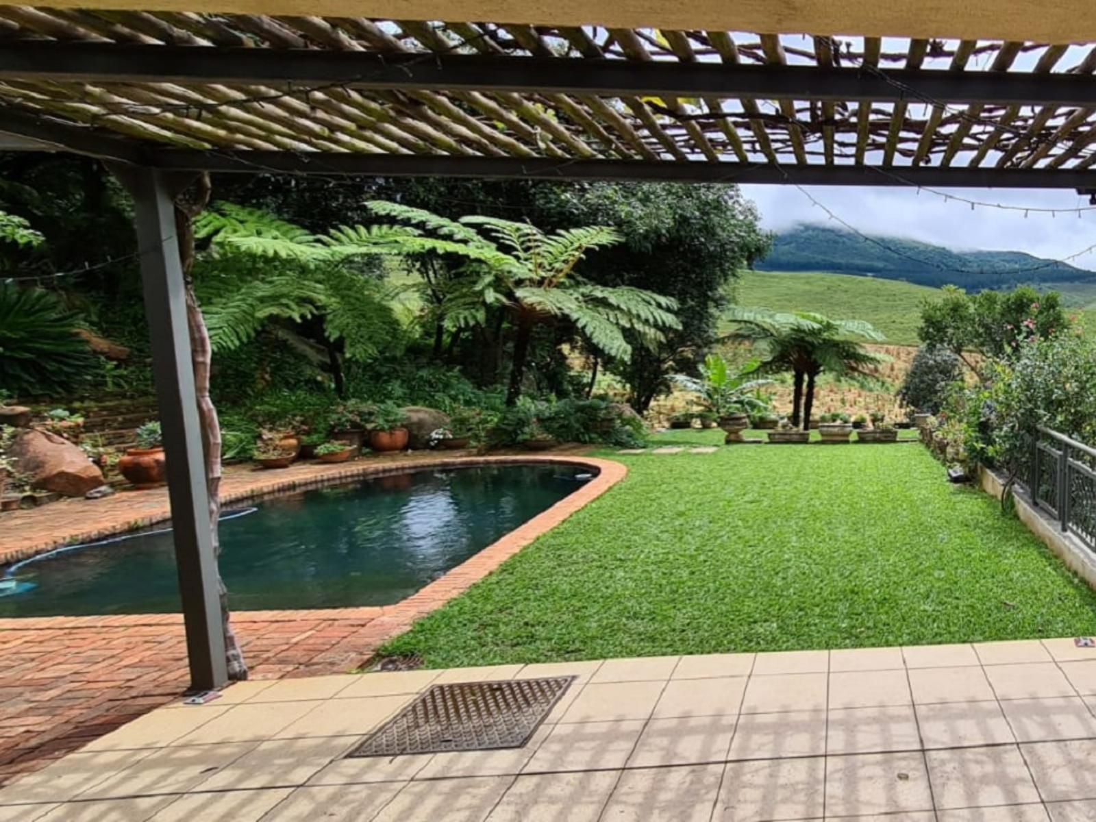 Mountain Rose Guesthouse Makhado Louis Trichardt Limpopo Province South Africa Garden, Nature, Plant, Swimming Pool