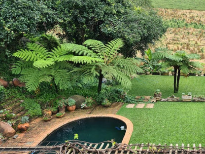 Mountain Rose Guesthouse Makhado Louis Trichardt Limpopo Province South Africa Plant, Nature, Garden, Swimming Pool