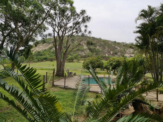 Mountain Valley Stay Nelspruit Mpumalanga South Africa Palm Tree, Plant, Nature, Wood, Garden, Swimming Pool