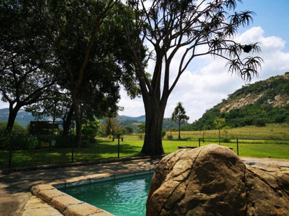 Mountain Valley Stay Nelspruit Mpumalanga South Africa Palm Tree, Plant, Nature, Wood, Swimming Pool