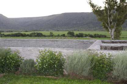 Mountain View Country Guest House Cradock Eastern Cape South Africa Field, Nature, Agriculture