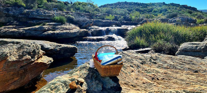 Mountain View Guesthouse Vanrhynsdorp Western Cape South Africa Basket