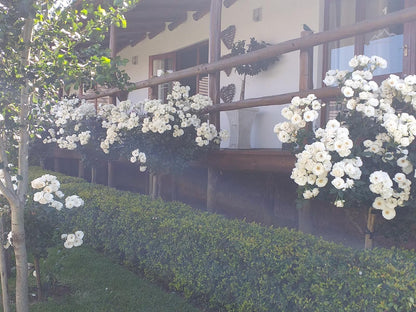 Mountain View Lodge Volksrust, Balcony, Architecture, Blossom, Plant, Nature, House, Building, Rose, Flower