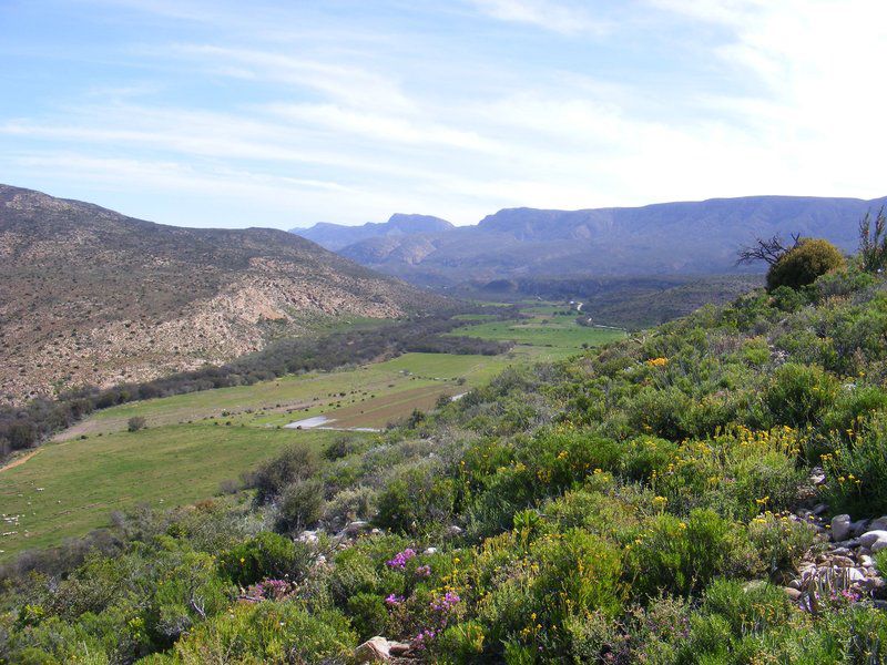 Mountain View Organics Anysberg Laingsburg Western Cape South Africa Complementary Colors, Highland, Nature