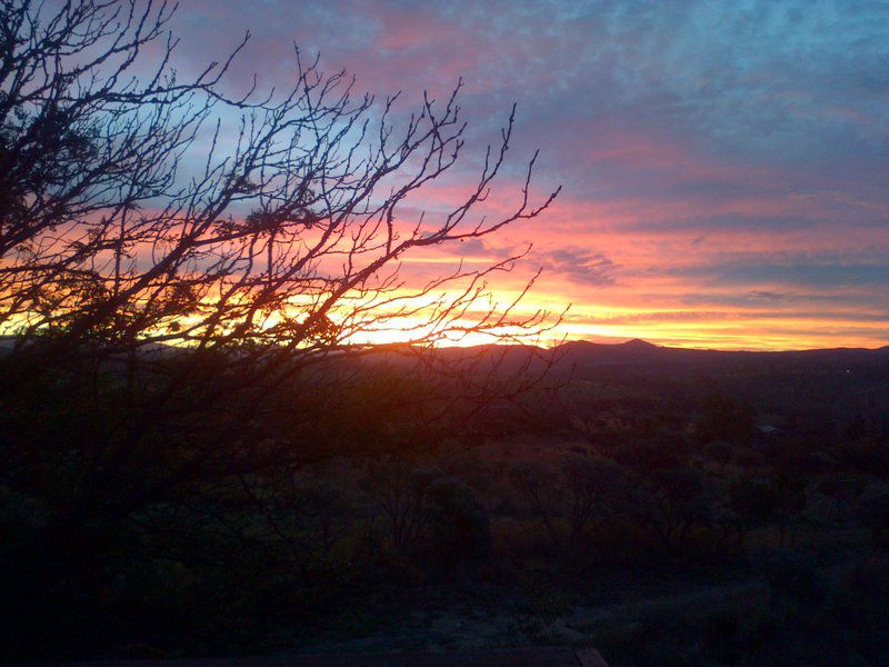 Mountain View Buffelspoort North West Province South Africa Cactus, Plant, Nature, Sky, Framing, Sunset