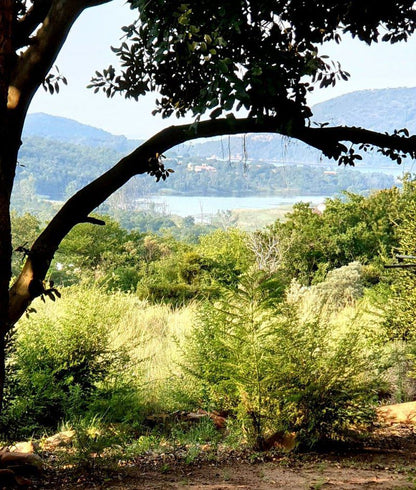 Mountain View Buffelspoort North West Province South Africa Tree, Plant, Nature, Wood