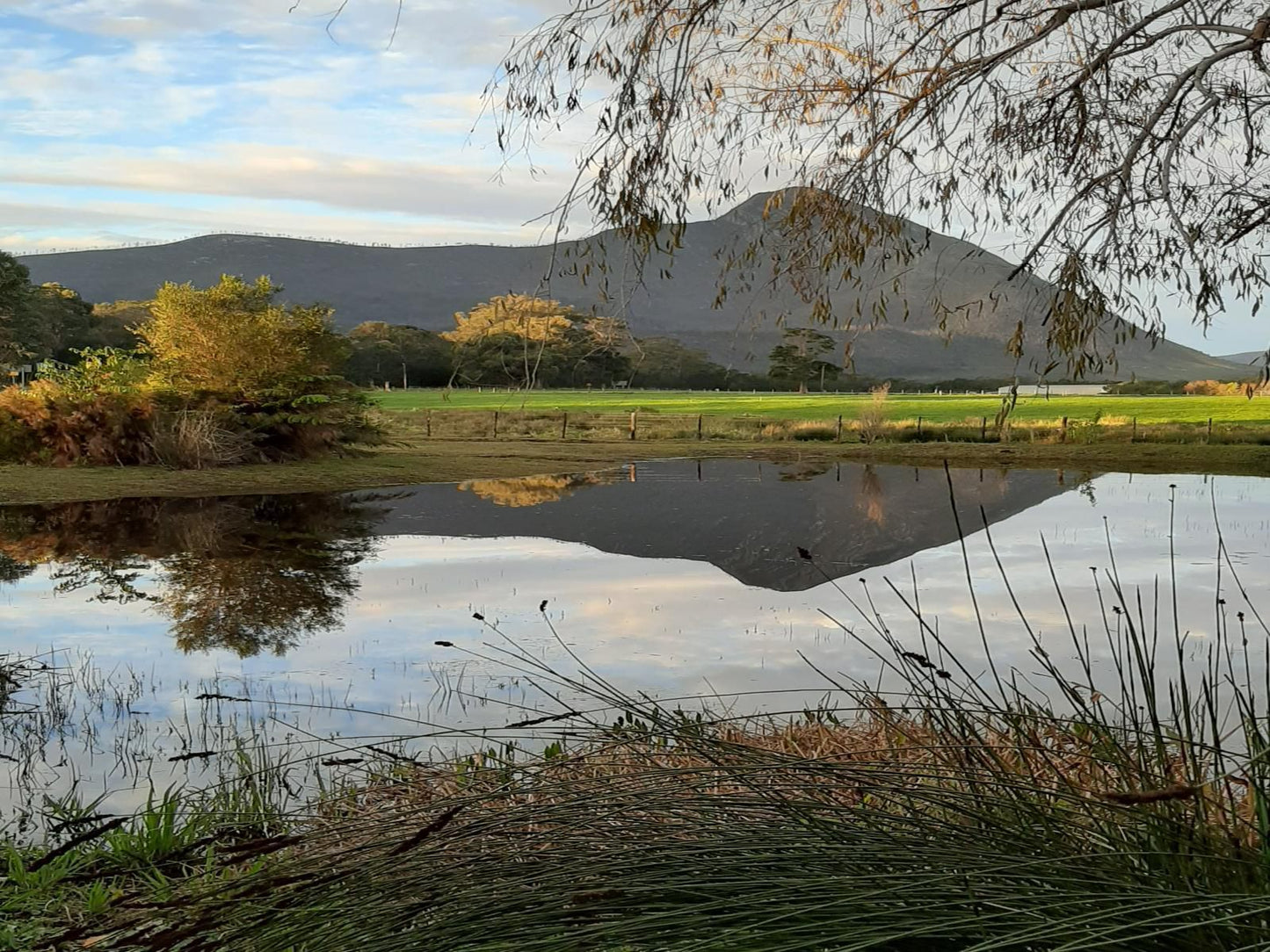 Mountain Breeze Log Cabins Tsitsikamma Eastern Cape South Africa Nature