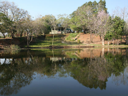 Mountain Creek Lodge Hazyview Mpumalanga South Africa River, Nature, Waters