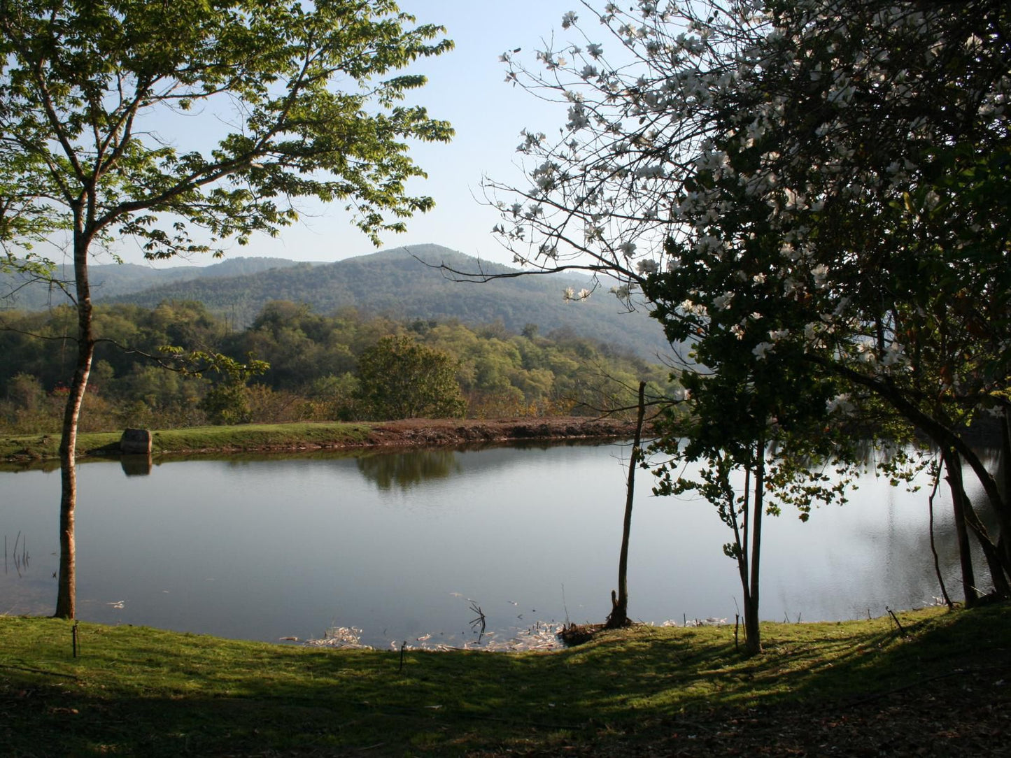 Mountain Creek Lodge Hazyview Mpumalanga South Africa Lake, Nature, Waters, River, Tree, Plant, Wood, Highland