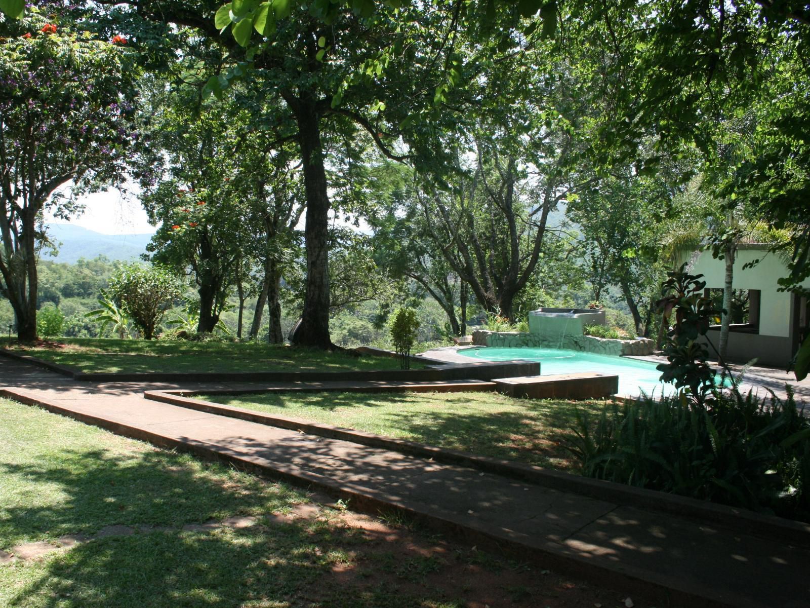 Mountain Creek Lodge Hazyview Mpumalanga South Africa Tree, Plant, Nature, Wood, Garden, Swimming Pool