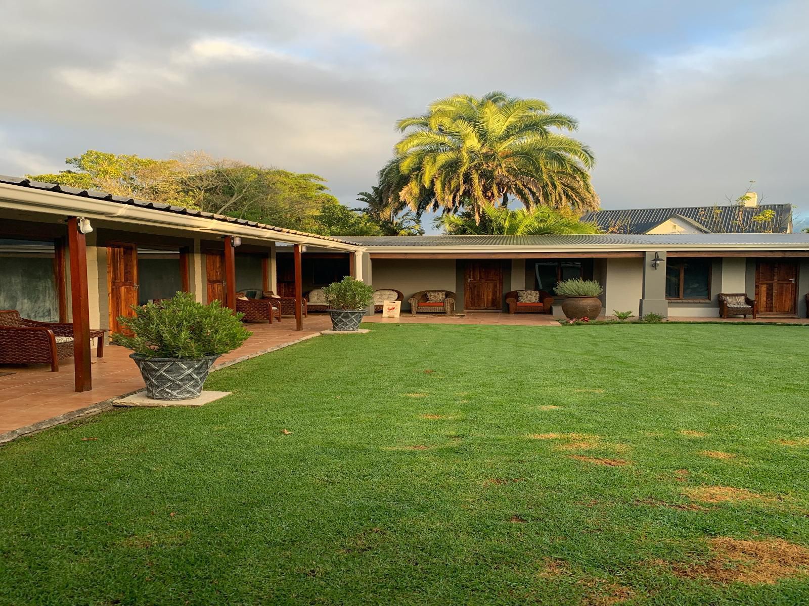 Mountain Dew Guest House Camphers Drift George Western Cape South Africa House, Building, Architecture, Palm Tree, Plant, Nature, Wood