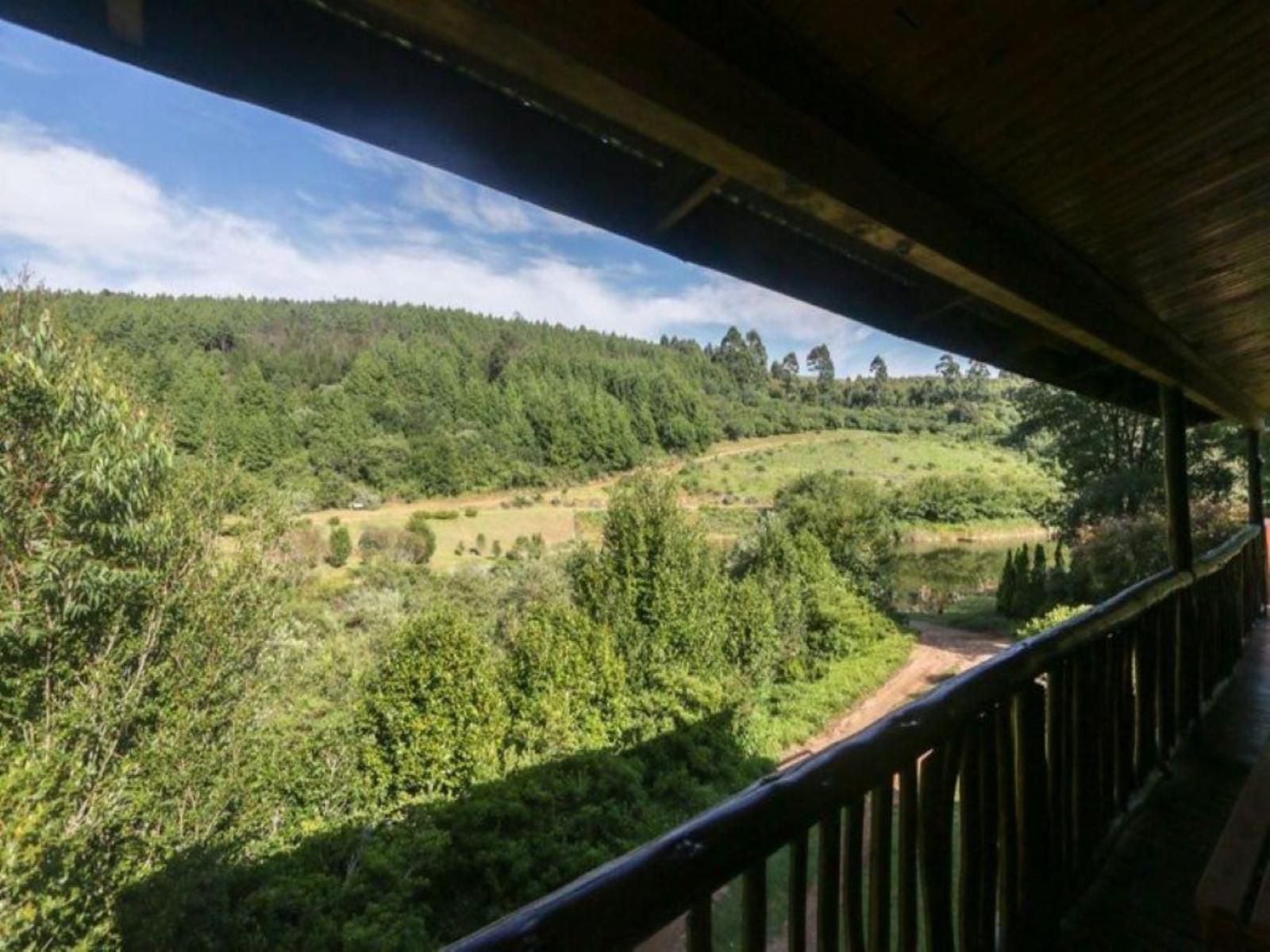 Mountain Fly Fishing Haenertsburg Limpopo Province South Africa Bridge, Architecture, Tree, Plant, Nature, Wood