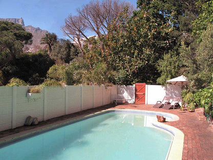 Mountain Magic Garden Suites Tamboerskloof Cape Town Western Cape South Africa Complementary Colors, Garden, Nature, Plant, Swimming Pool