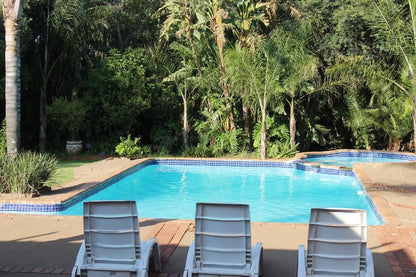 Mountain Manor Guesthouse And Day Spa Shere Pretoria Tshwane Gauteng South Africa Palm Tree, Plant, Nature, Wood, Swimming Pool