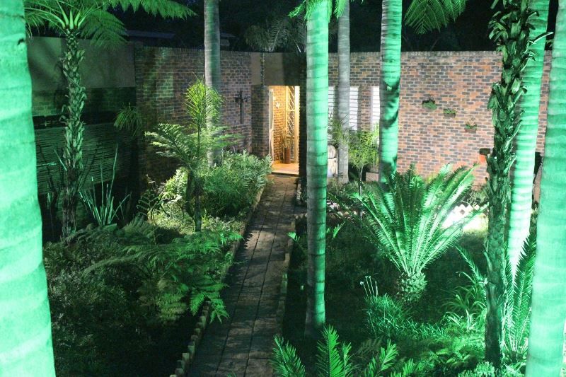 Mountain Manor Guesthouse And Day Spa Shere Pretoria Tshwane Gauteng South Africa Palm Tree, Plant, Nature, Wood, Garden