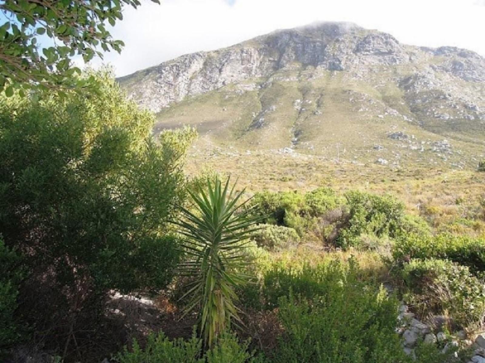 Mountain Mist Bettys Bay Western Cape South Africa Mountain, Nature, Highland