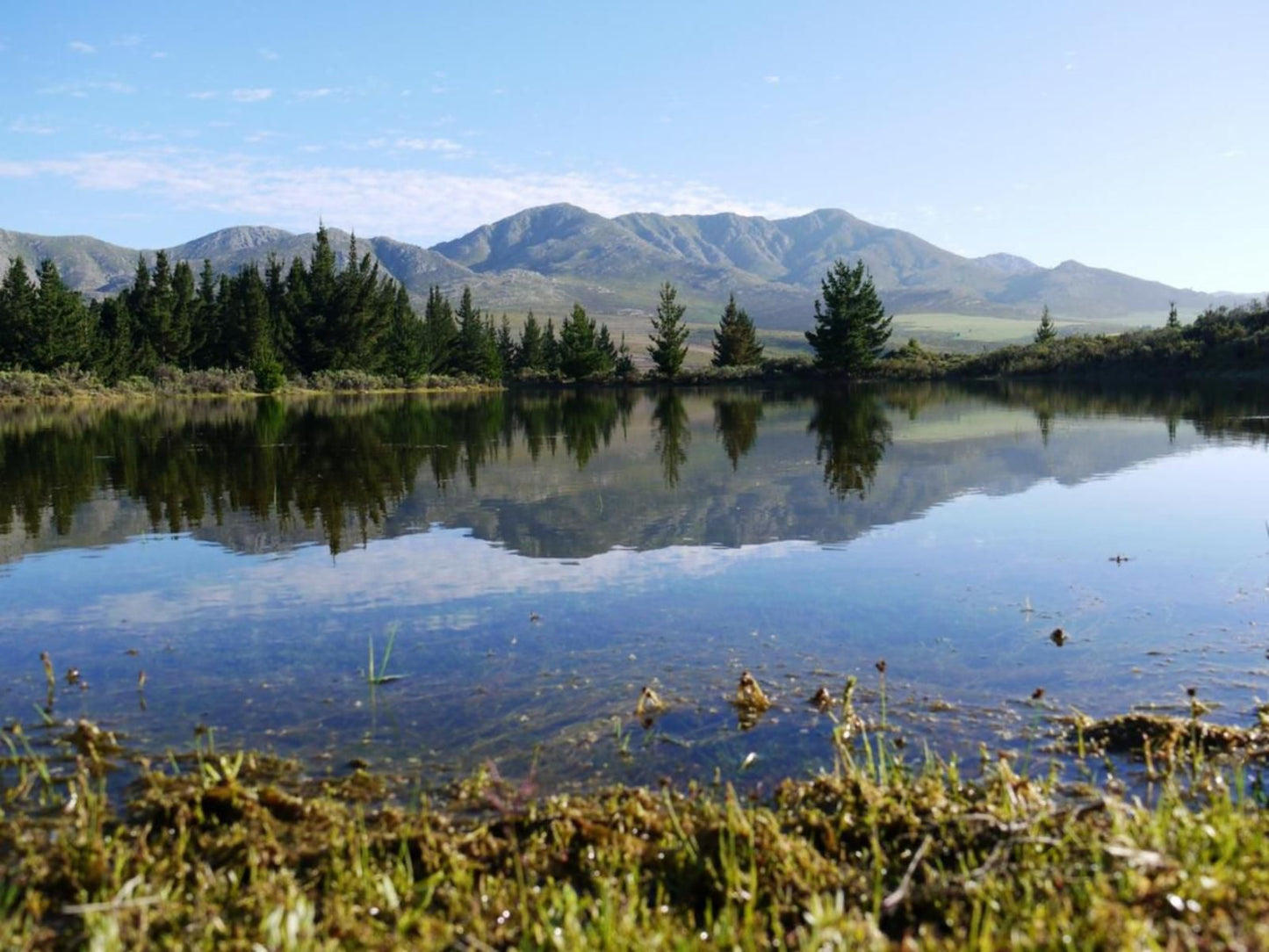 Mountain Pastures Uniondale Western Cape South Africa Lake, Nature, Waters, Mountain, Tree, Plant, Wood, Highland