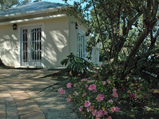 Mountain Rise Hout Bay Cape Town Western Cape South Africa House, Building, Architecture, Plant, Nature, Garden