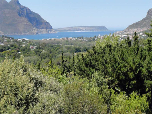 Mountain Rise Hout Bay Cape Town Western Cape South Africa Complementary Colors, Nature