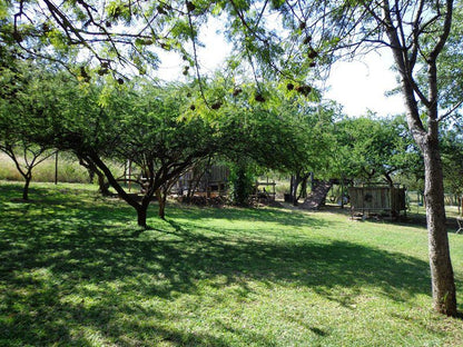 Mountain Rock Cottage Barberton Mpumalanga South Africa Tree, Plant, Nature, Wood