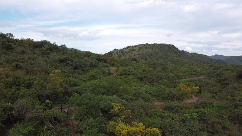 Mountain Rock Cottage Barberton Mpumalanga South Africa Forest, Nature, Plant, Tree, Wood