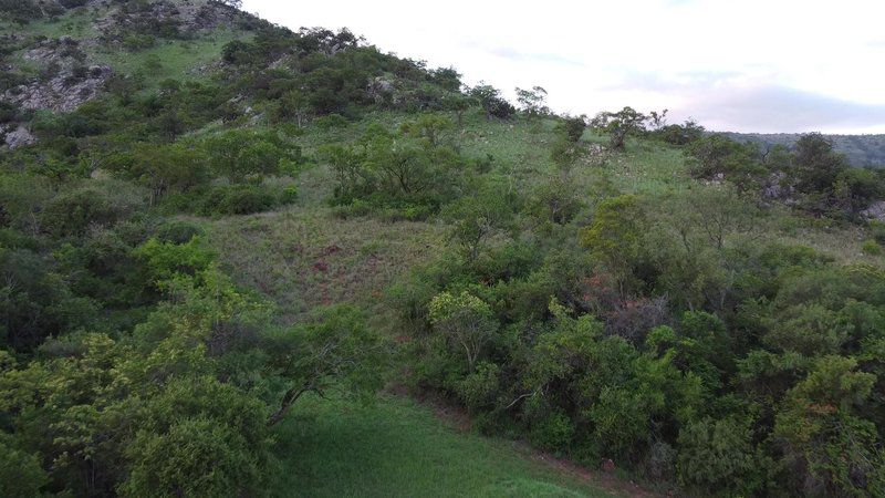 Mountain Rock Cottage Barberton Mpumalanga South Africa Forest, Nature, Plant, Tree, Wood