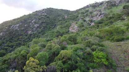 Mountain Rock Cottage Barberton Mpumalanga South Africa Cliff, Nature, Forest, Plant, Tree, Wood, Ruin, Architecture, Sign, Text, Highland