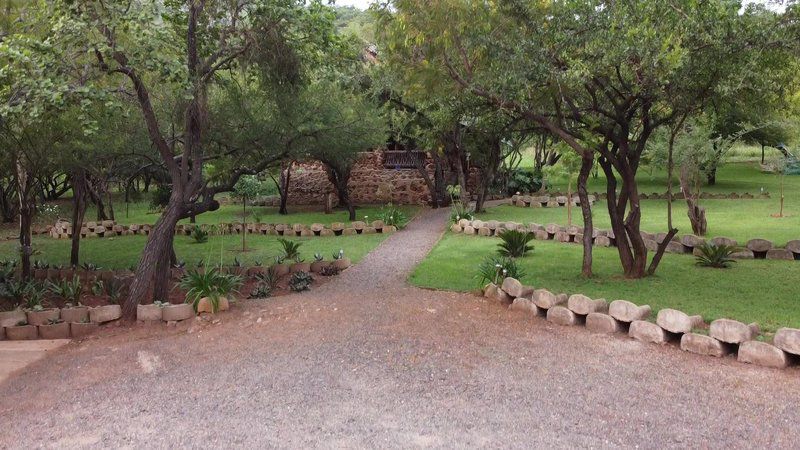 Mountain Rock Cottage Barberton Mpumalanga South Africa Palm Tree, Plant, Nature, Wood, Garden