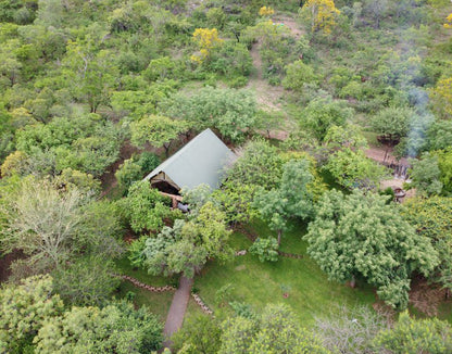 Mountain Rock Cottage Barberton Mpumalanga South Africa Plant, Nature, Tree, Wood