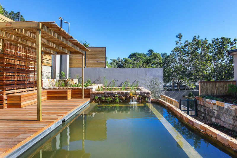 Mountainside Boho Chic Retreat With Natural Pool Oranjezicht Cape Town Western Cape South Africa Complementary Colors, Swimming Pool