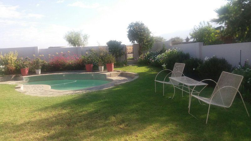 Mountainview Bandb And Self Catering Porterville Western Cape South Africa Palm Tree, Plant, Nature, Wood, Ball Game, Sport, Garden, Living Room, Swimming Pool