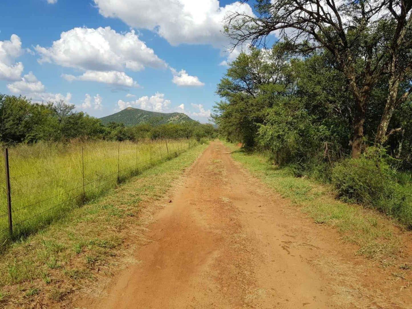 A Mountain View Country Estate Parys Free State South Africa Forest, Nature, Plant, Tree, Wood, Lowland, Street