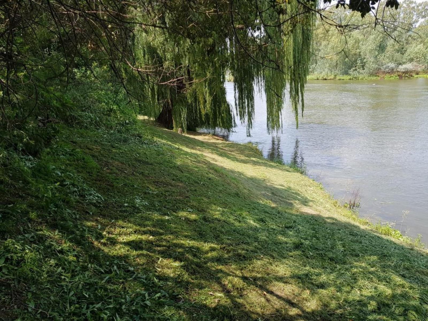 A Mountain View Country Estate Parys Free State South Africa Forest, Nature, Plant, Tree, Wood, River, Waters