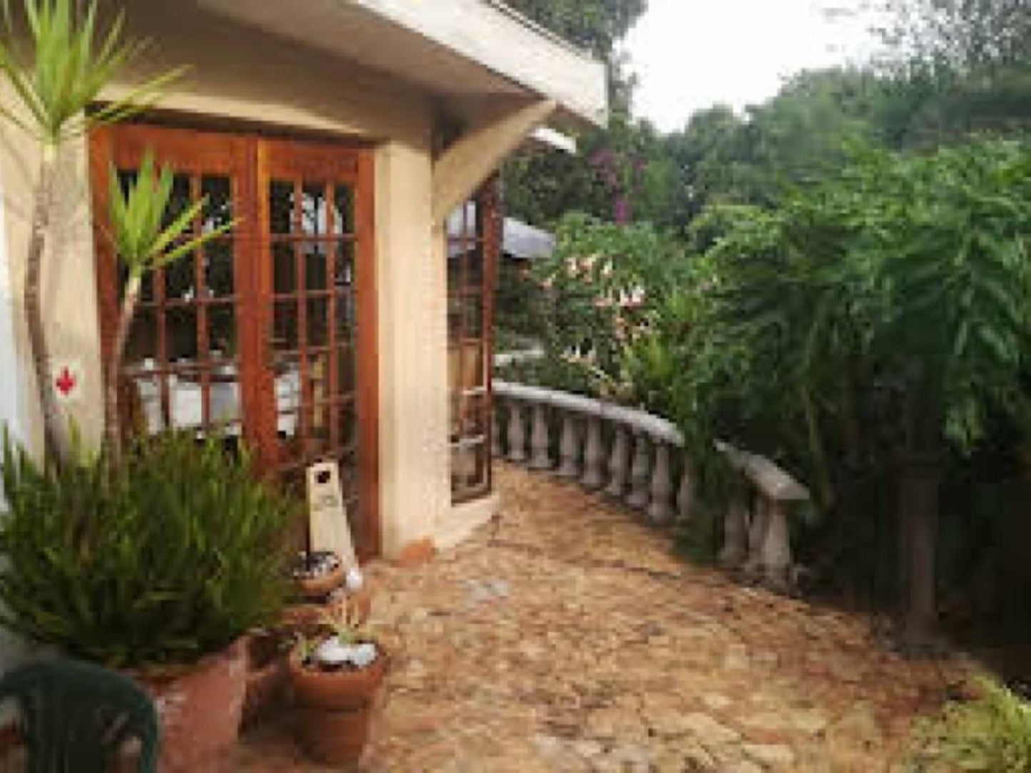 Mountain View Guest House Blackheath Johannesburg Gauteng South Africa Palm Tree, Plant, Nature, Wood, Garden