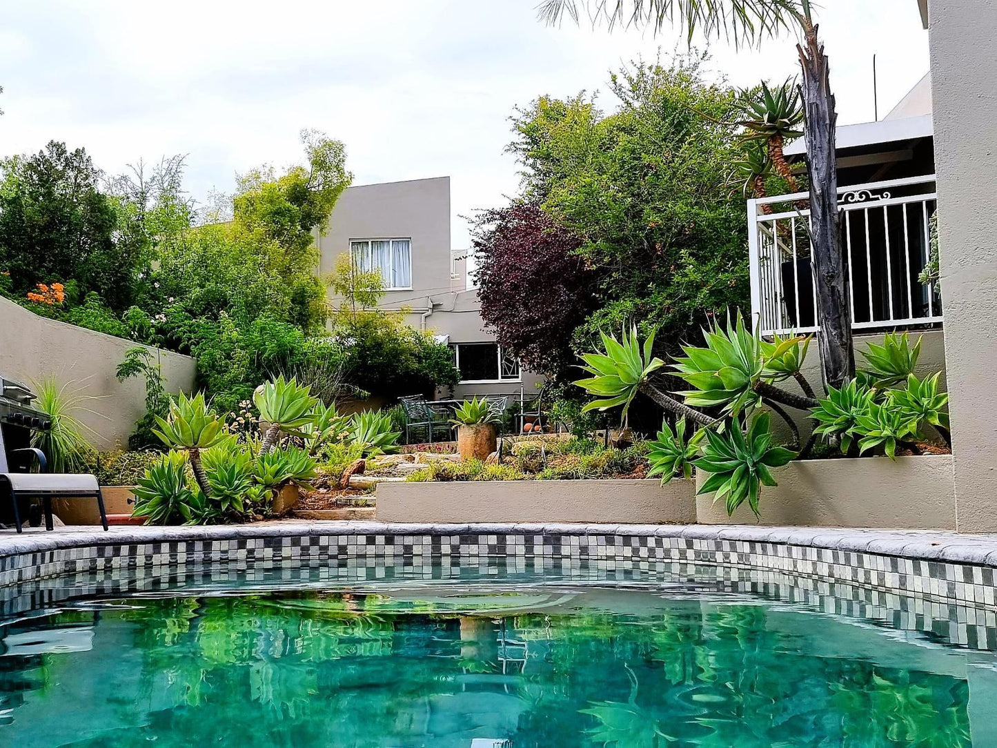 Mountain View Guest House Springbok Northern Cape South Africa House, Building, Architecture, Palm Tree, Plant, Nature, Wood, Garden, Swimming Pool