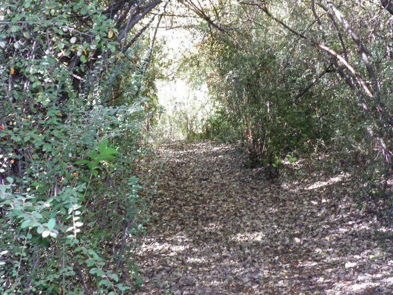 Mountain View Guesthouse Zastron Free State South Africa Unsaturated, Forest, Nature, Plant, Tree, Wood