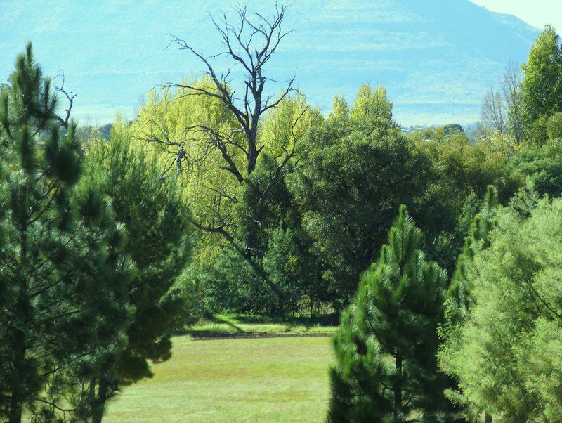 Mountain View Guesthouse Zastron Free State South Africa Complementary Colors, Tree, Plant, Nature, Wood