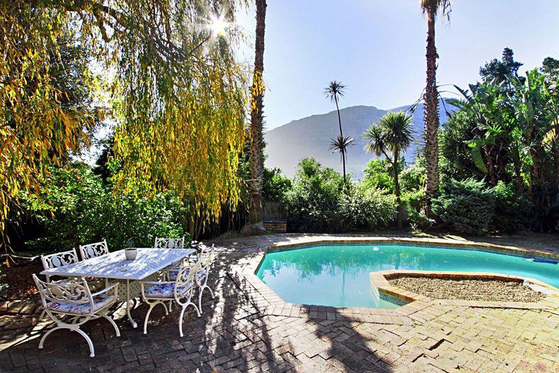 Mountain View Tierboskloof Cape Town Western Cape South Africa Complementary Colors, Palm Tree, Plant, Nature, Wood, Swimming Pool