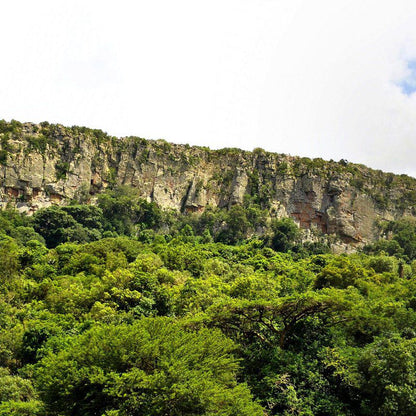 Mount Azimbo Lodge Makhado Louis Trichardt Limpopo Province South Africa Cliff, Nature, Forest, Plant, Tree, Wood