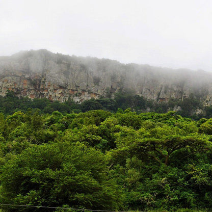 Mount Azimbo Lodge Makhado Louis Trichardt Limpopo Province South Africa Forest, Nature, Plant, Tree, Wood, Highland