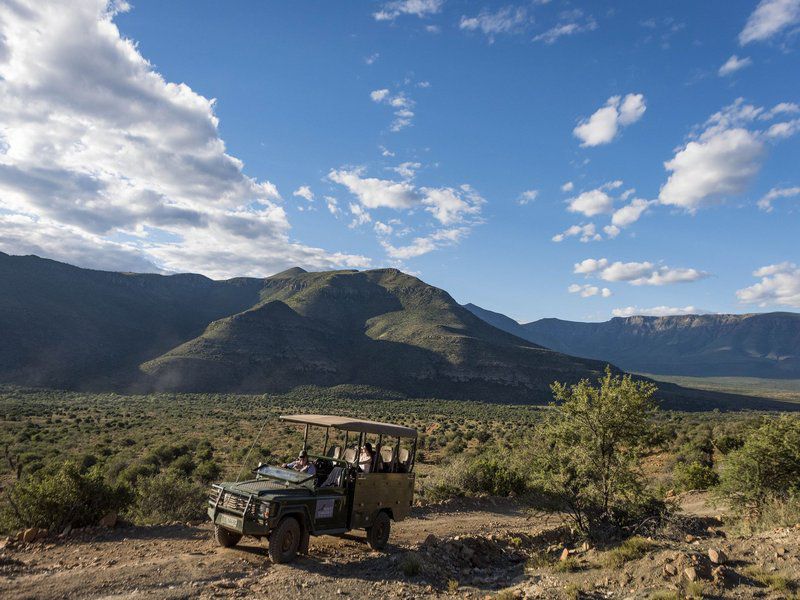 Mount Camdeboo Private Game Reserve Graaff Reinet Eastern Cape South Africa Desert, Nature, Sand