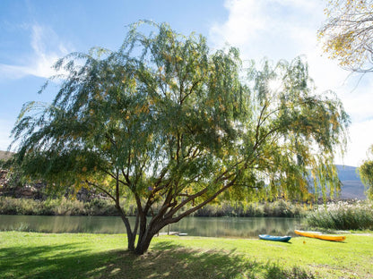 Mount Ceder Lodge Cederberg Wilderness Area Western Cape South Africa Plant, Nature, River, Waters, Tree, Wood