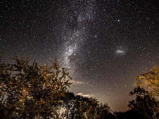 Mountain View Safari Lodge Ndlovumzi Nature Reserve Hoedspruit Limpopo Province South Africa Astronomy, Nature, Night Sky